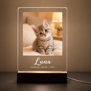 Customizable Acrylic Photo Frame Bulk Order Supply
