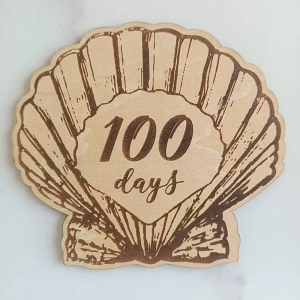 Wooden Baby 100 Days Milestone Photo Prop Sign